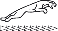 Jaguar rápido